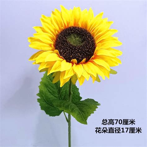 假花放客廳|【假花可以放哪裏】假花擺放禁忌徹底解析！這樣擺化解風水影。